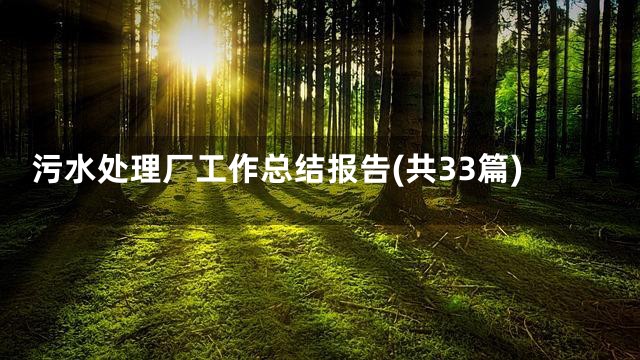 污水处理厂工作总结报告(共33篇)