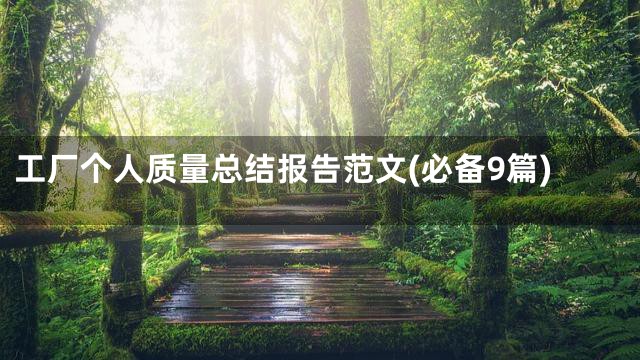 工厂个人质量总结报告范文(必备9篇)