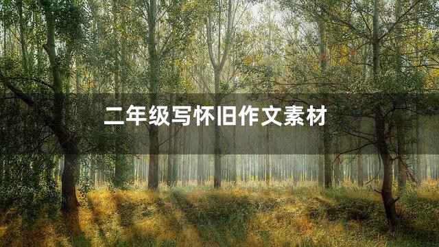 二年级写怀旧作文素材