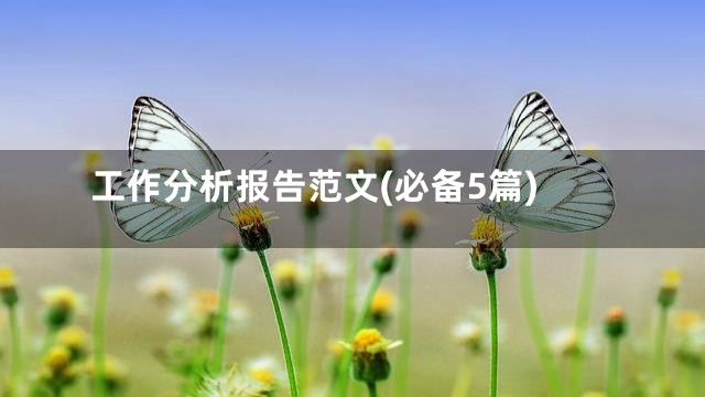 工作分析报告范文(必备5篇)