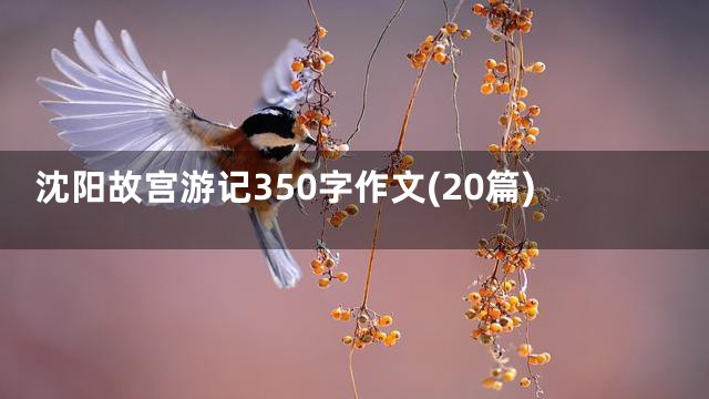沈阳故宫游记350字作文(20篇)
