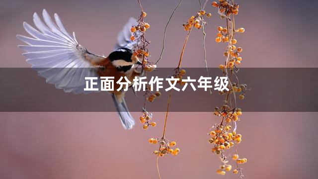 正面分析作文六年级