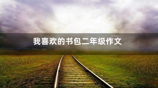 我喜欢的书包二年级作文