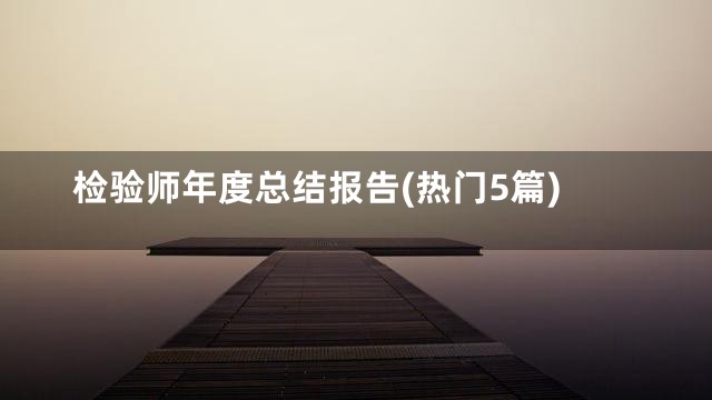 检验师年度总结报告(热门5篇)