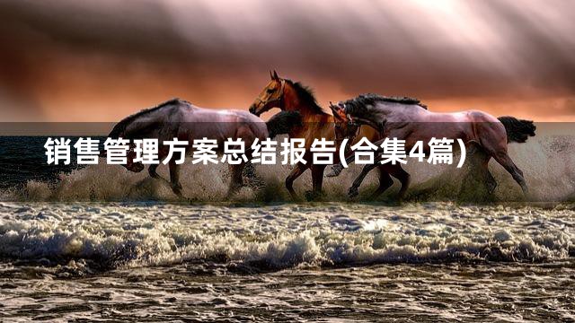 销售管理方案总结报告(合集4篇)