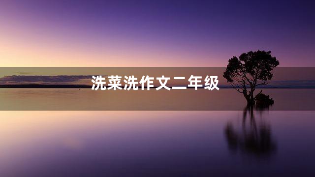 洗菜洗作文二年级