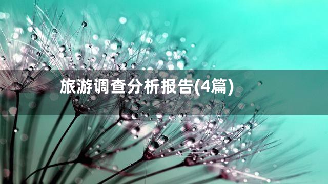 旅游调查分析报告(4篇)