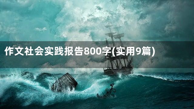 作文社会实践报告800字(实用9篇)