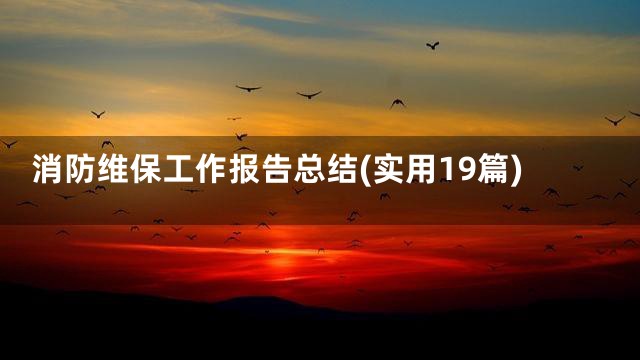 消防维保工作报告总结(实用19篇)
