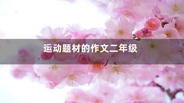 运动题材的作文二年级