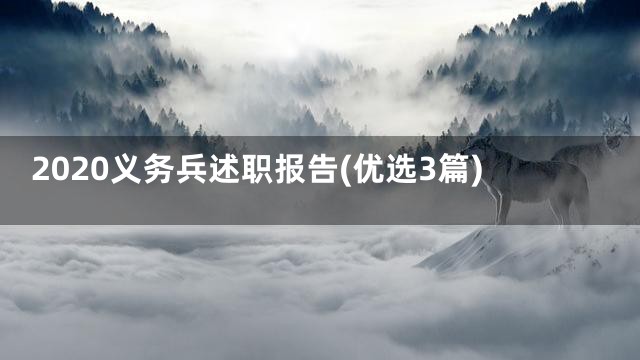 2020义务兵述职报告(优选3篇)