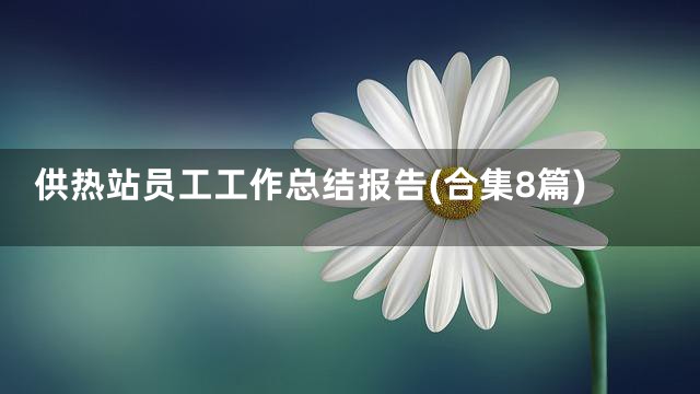 供热站员工工作总结报告(合集8篇)