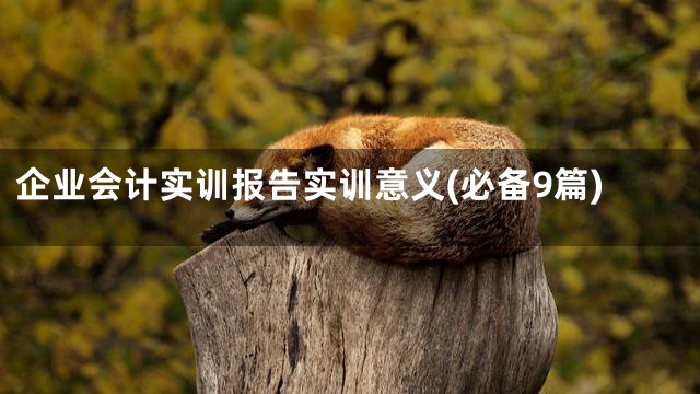 企业会计实训报告实训意义(必备9篇)