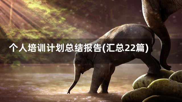 个人培训计划总结报告(汇总22篇)