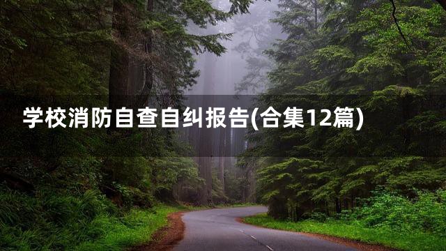 学校消防自查自纠报告(合集12篇)