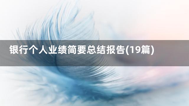 银行个人业绩简要总结报告(19篇)