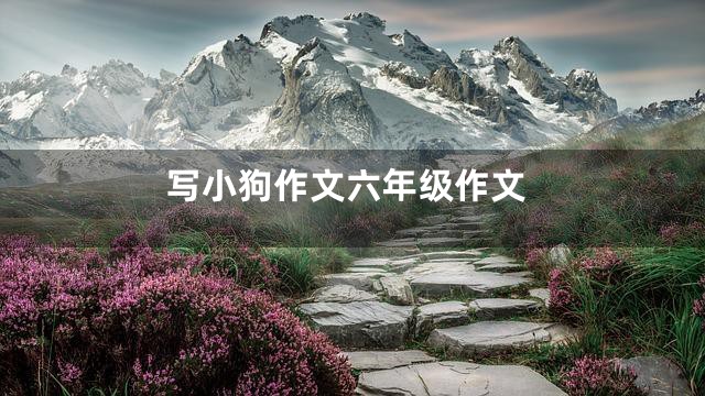 写小狗作文六年级作文