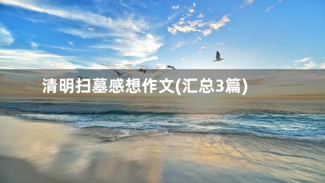 清明扫墓感想作文(汇总3篇)