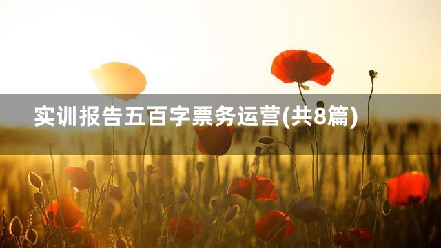 实训报告五百字票务运营(共8篇)
