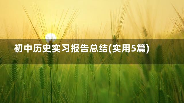 初中历史实习报告总结(实用5篇)