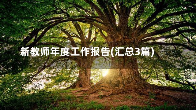 新教师年度工作报告(汇总3篇)