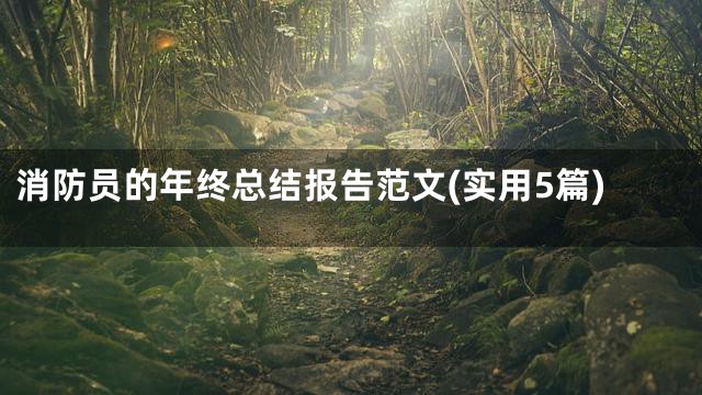 消防员的年终总结报告范文(实用5篇)