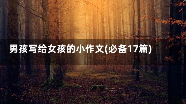 男孩写给女孩的小作文(必备17篇)