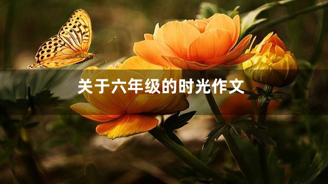 关于六年级的时光作文