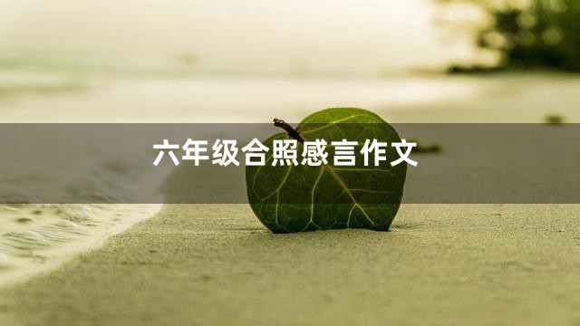 六年级合照感言作文