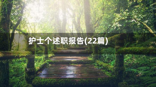 护士个述职报告(22篇)