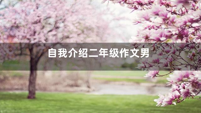 自我介绍二年级作文男