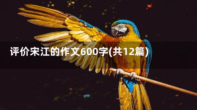 评价宋江的作文600字(共12篇)