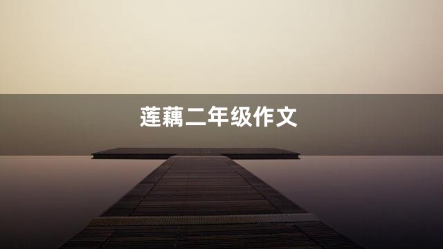 莲藕二年级作文
