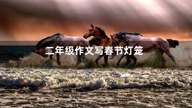 二年级作文写春节灯笼