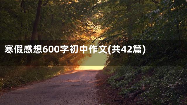 寒假感想600字初中作文(共42篇)