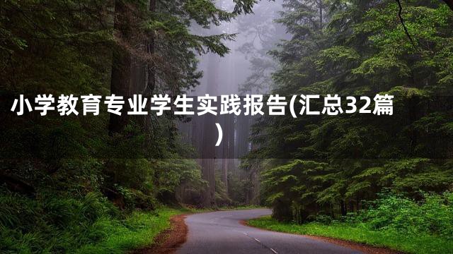 小学教育专业学生实践报告(汇总32篇)