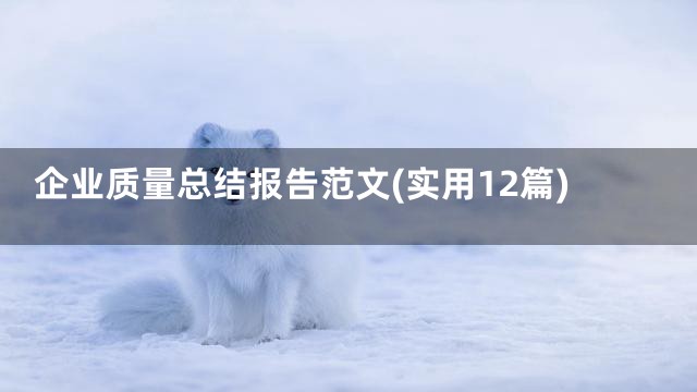 企业质量总结报告范文(实用12篇)