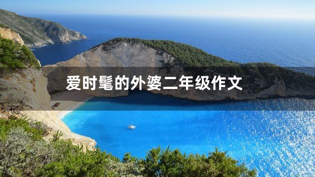 爱时髦的外婆二年级作文