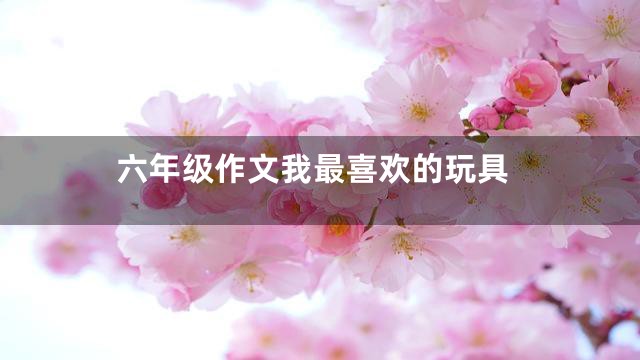 六年级作文我最喜欢的玩具