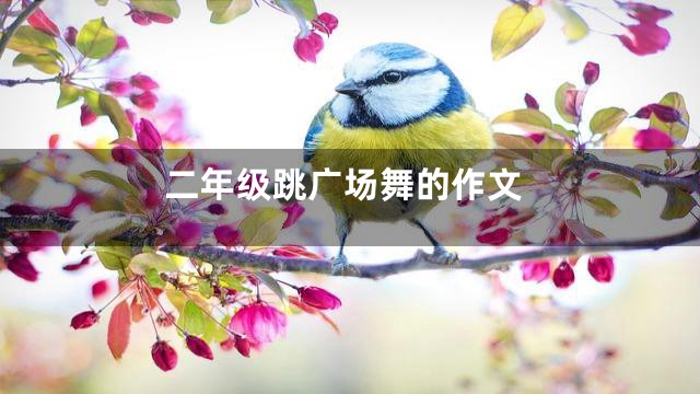 二年级跳广场舞的作文