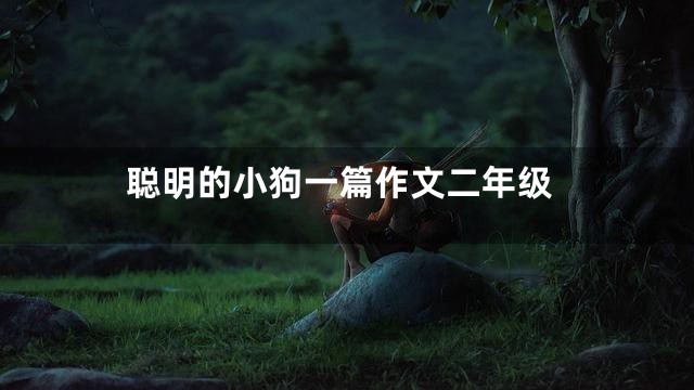 聪明的小狗一篇作文二年级