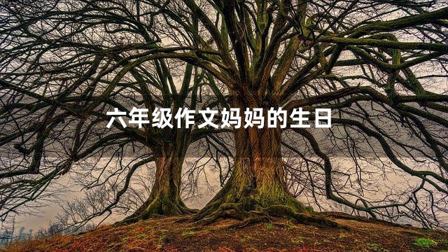 六年级作文妈妈的生日