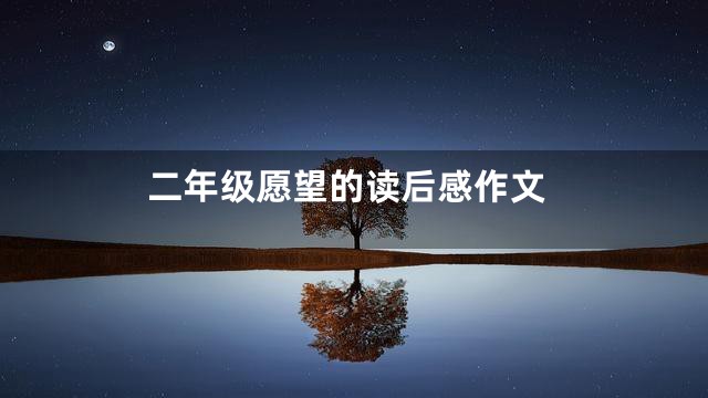 二年级愿望的读后感作文