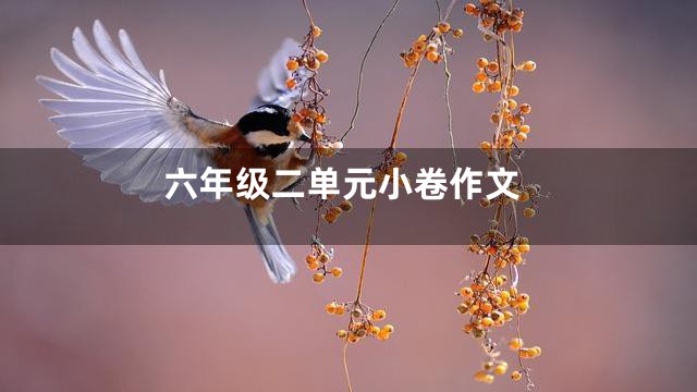 六年级二单元小卷作文