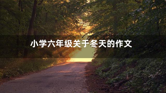 小学六年级关于冬天的作文