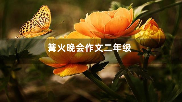 篝火晚会作文二年级