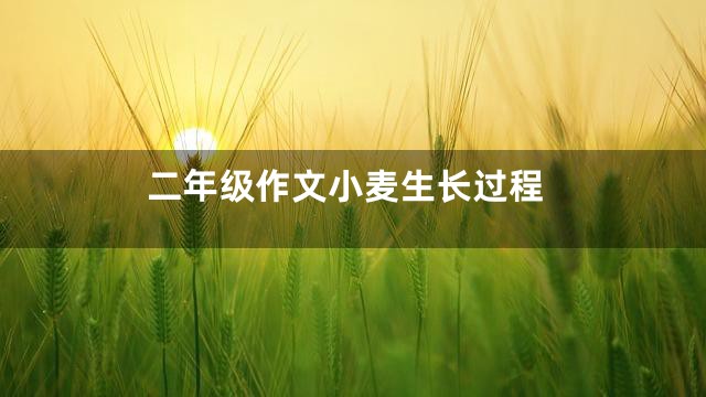 二年级作文小麦生长过程