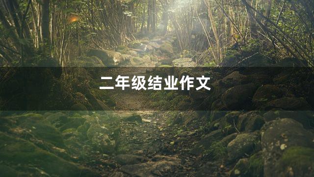 二年级结业作文