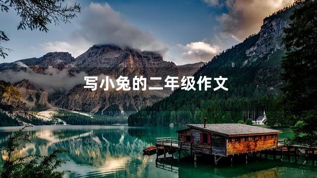写小兔的二年级作文