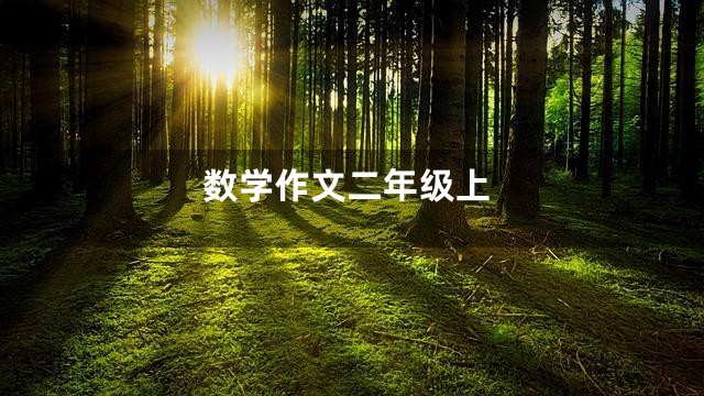 数学作文二年级上